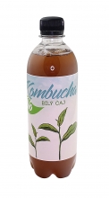Kombucha - bílý čaj Bio 500ml STEVIKOM