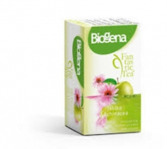Čaj fantastic - jablko,echinacea 20n.s. 40g BIOGENA 