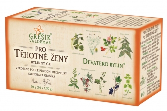 Těhotné ženy 20 n.s.